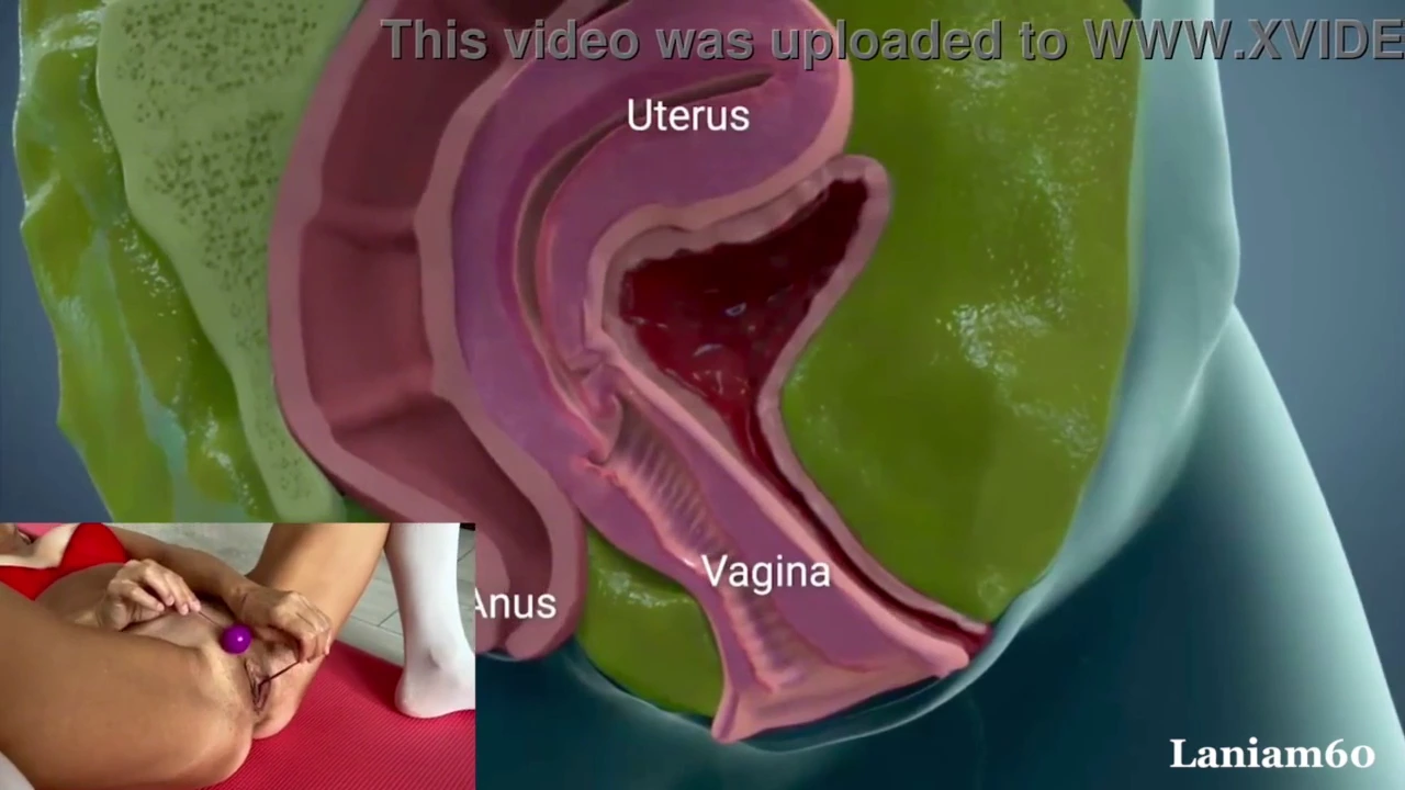 Watch understanding human sexuality 11th edition online, understanding human sexuality 10th edition, understanding human sexuality 12th edition, understanding human sexuality 6th edition porn movies and download understanding human sexuality 11th edition online, understanding human sexuality 11th edition, understanding human sexuality 11th edition ebook streaming porn to your phone